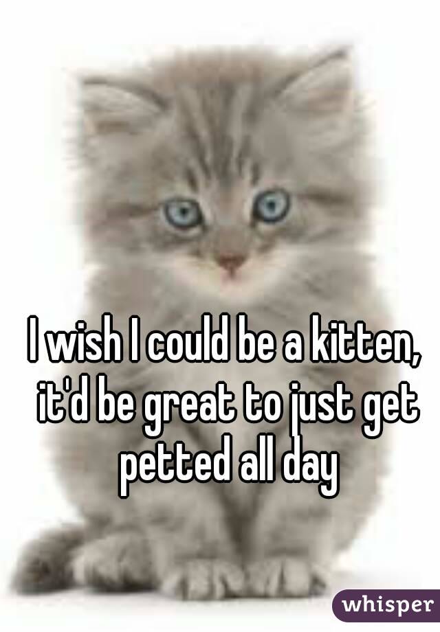 I wish I could be a kitten, it'd be great to just get petted all day