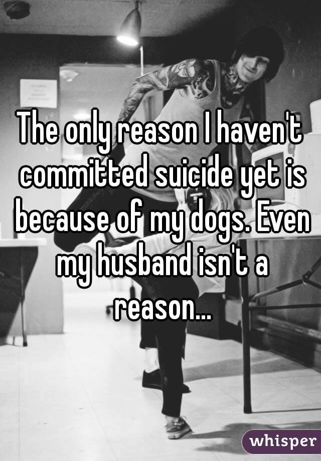 The only reason I haven't committed suicide yet is because of my dogs. Even my husband isn't a reason...