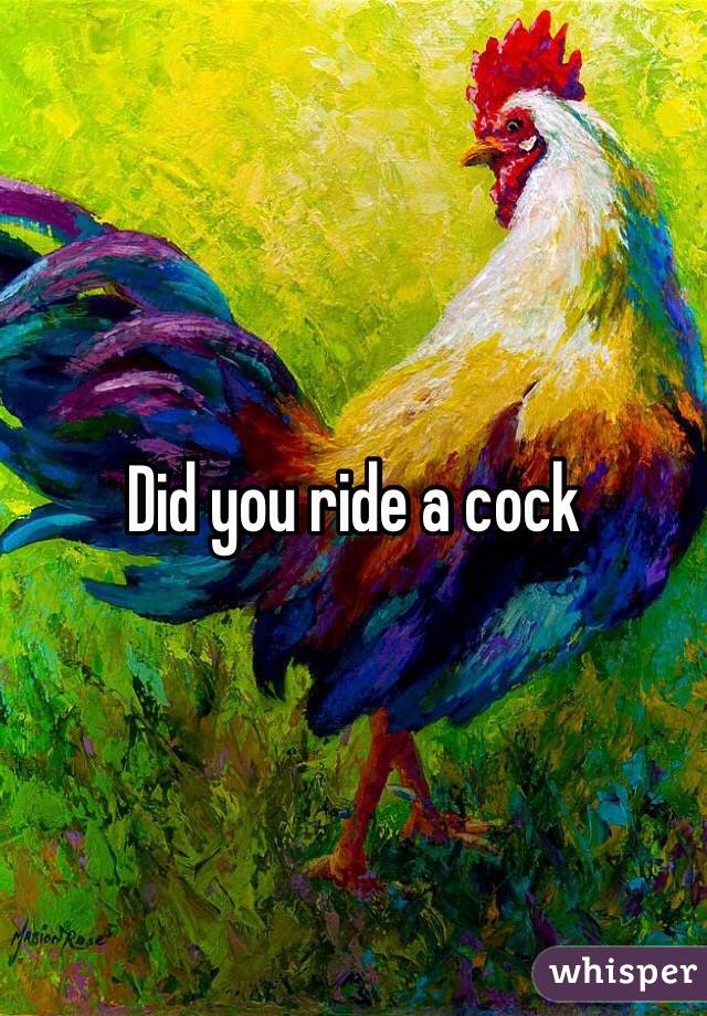 Did you ride a cock 