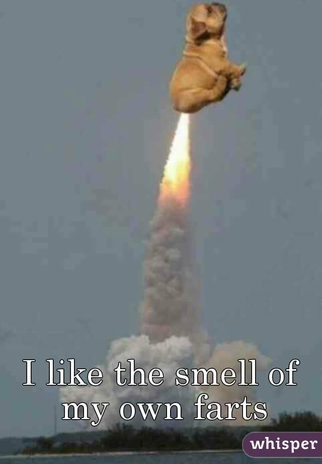 I like the smell of my own farts
