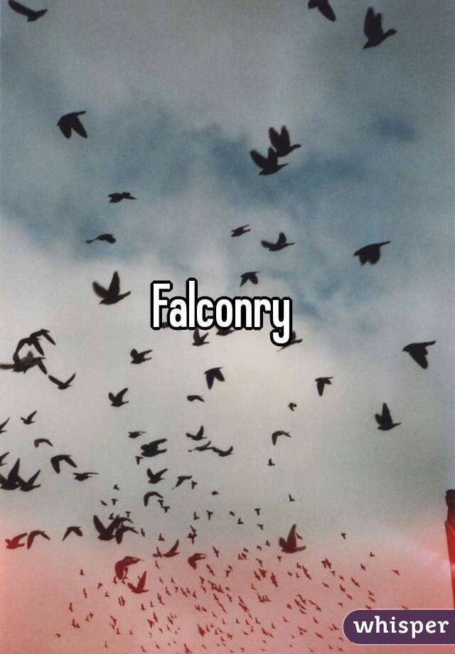 Falconry 