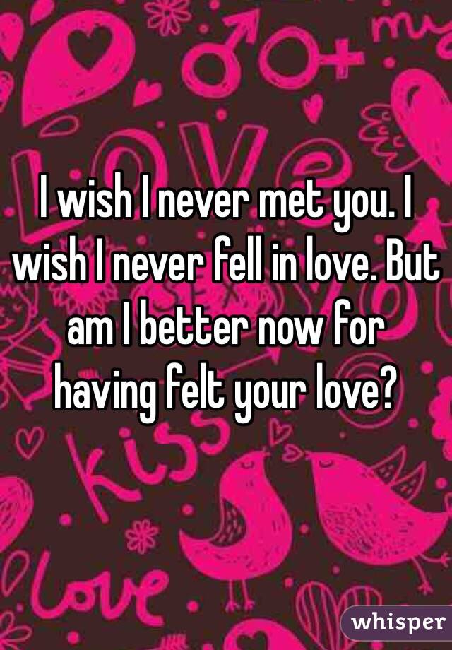 I wish I never met you. I wish I never fell in love. But am I better now for having felt your love?