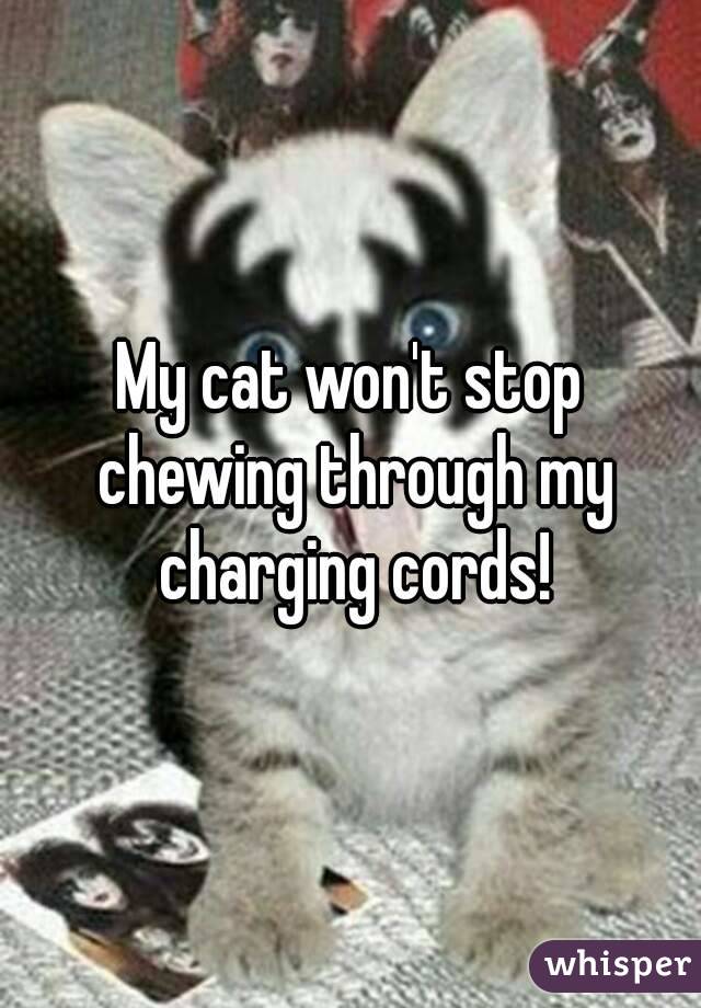 My cat won't stop chewing through my charging cords!