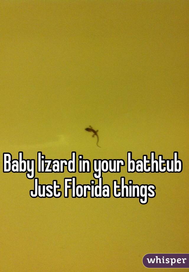 Baby lizard in your bathtub 
Just Florida things