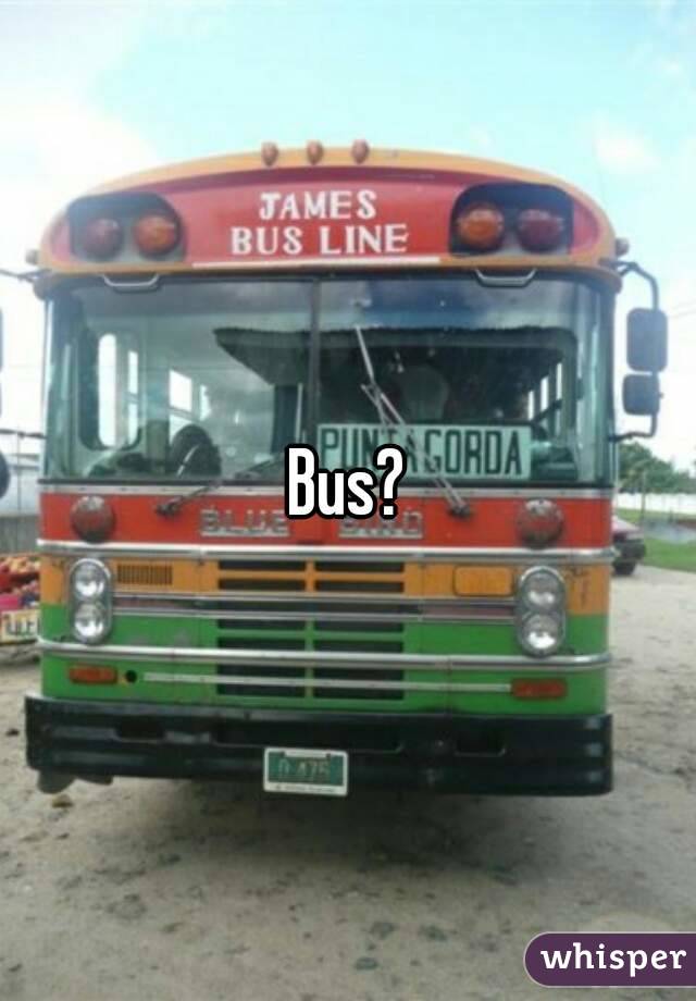 Bus?