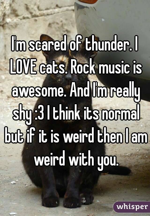 I'm scared of thunder. I LOVE cats. Rock music is awesome. And I'm really shy :3 I think its normal but if it is weird then I am weird with you.