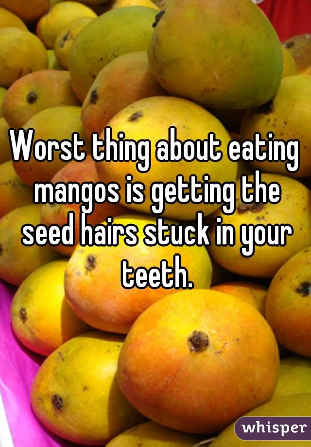 Worst thing about eating mangos is getting the seed hairs stuck in your teeth.

