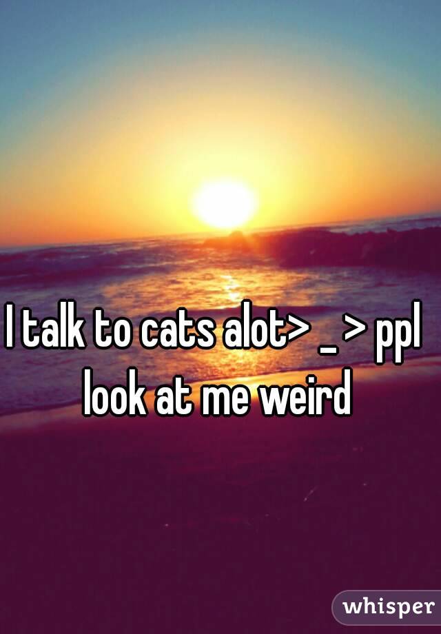 I talk to cats alot> _ > ppl look at me weird