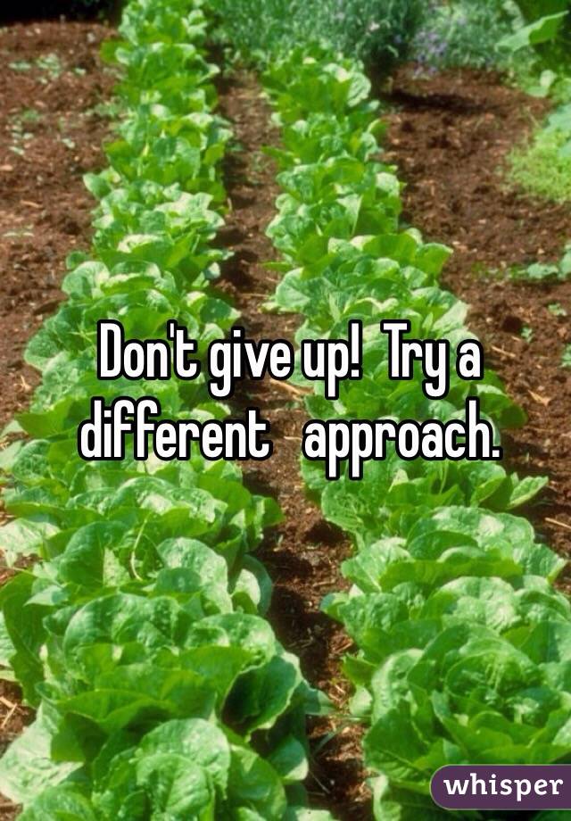 Don't give up!  Try a different   approach.