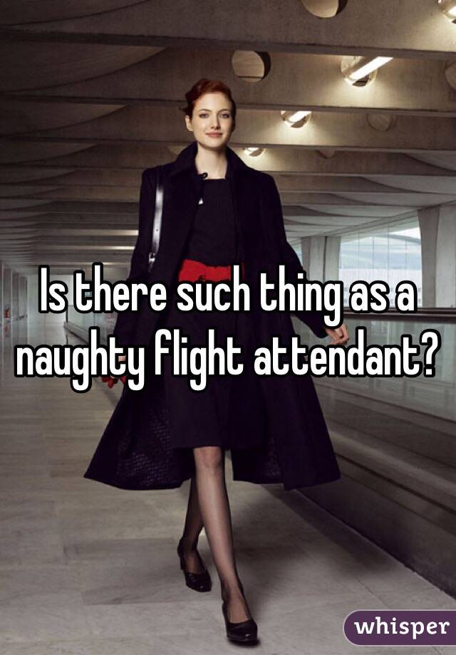 Is there such thing as a naughty flight attendant?