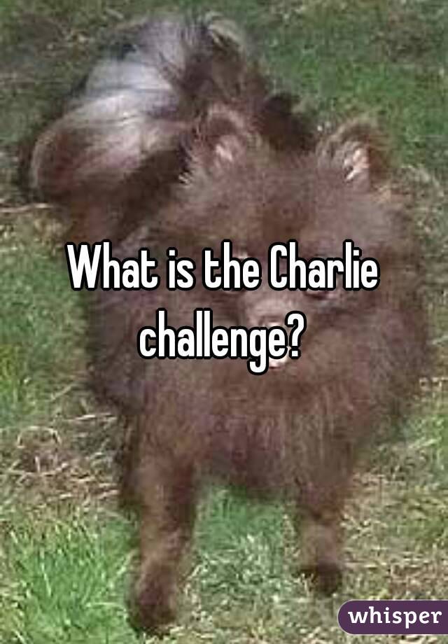What is the Charlie challenge? 