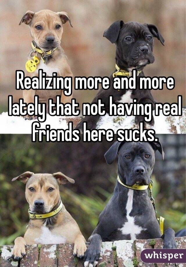 Realizing more and more lately that not having real friends here sucks. 