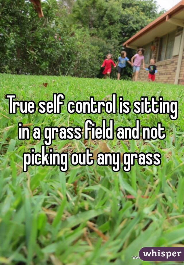 True self control is sitting in a grass field and not picking out any grass