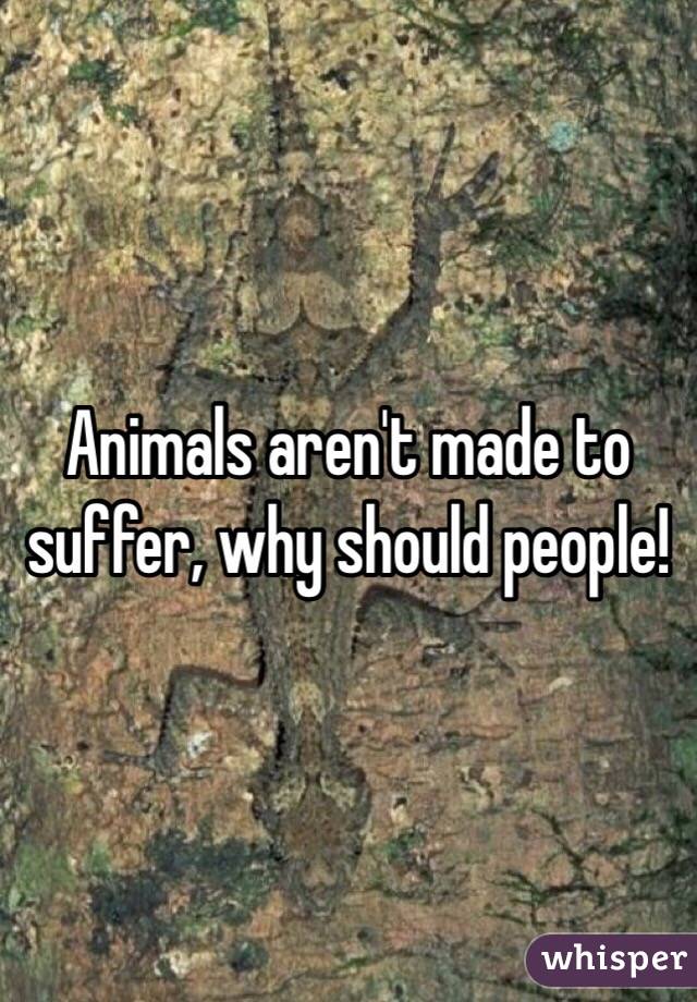 Animals aren't made to suffer, why should people!