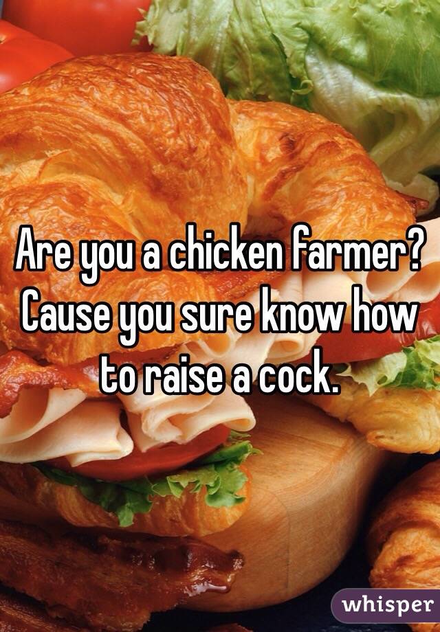Are you a chicken farmer? Cause you sure know how to raise a cock.
