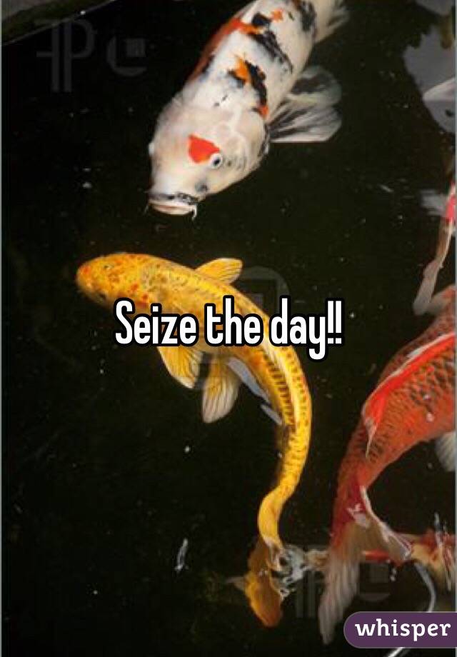 Seize the day!!
