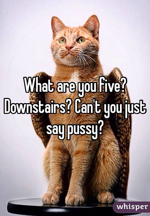 What are you five? Downstairs? Can't you just say pussy?