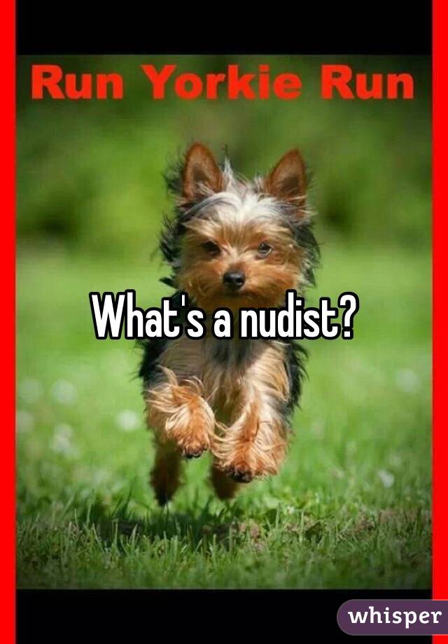 What's a nudist?