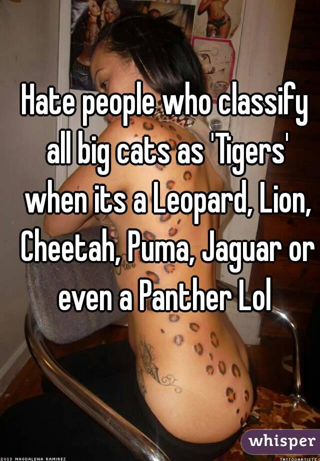 Hate people who classify all big cats as 'Tigers' when its a Leopard, Lion, Cheetah, Puma, Jaguar or even a Panther Lol 