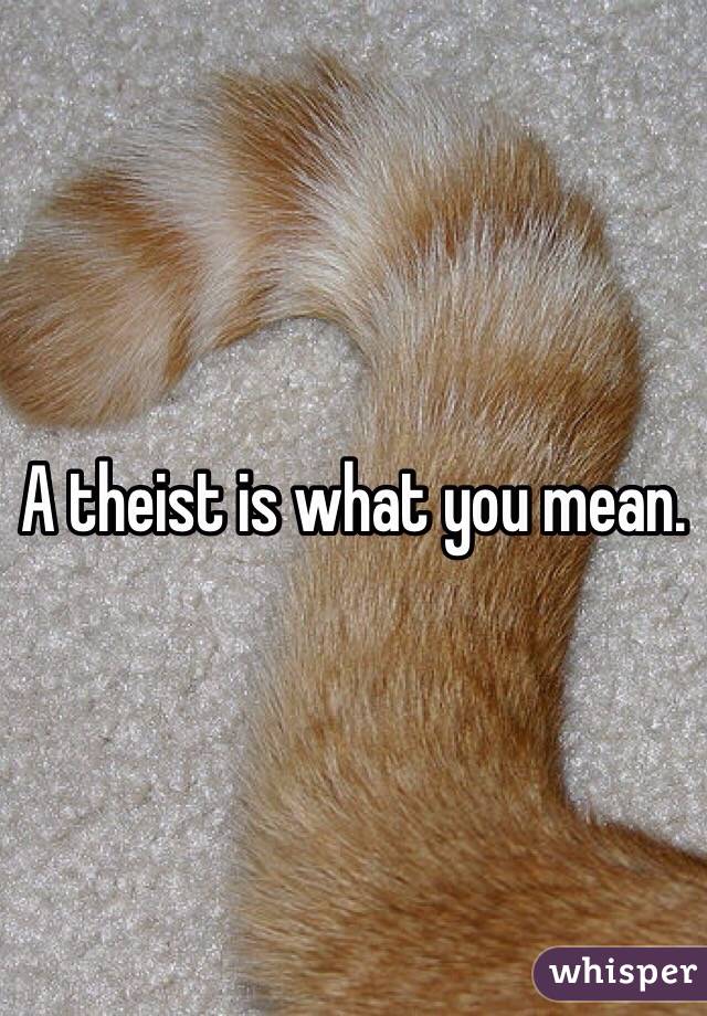 A theist is what you mean. 