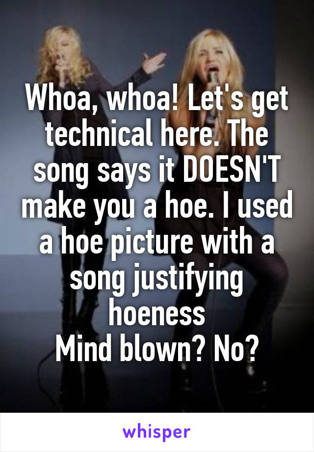 Whoa, whoa! Let's get technical here. The song says it DOESN'T make you a hoe. I used a hoe picture with a song justifying hoeness
Mind blown? No?