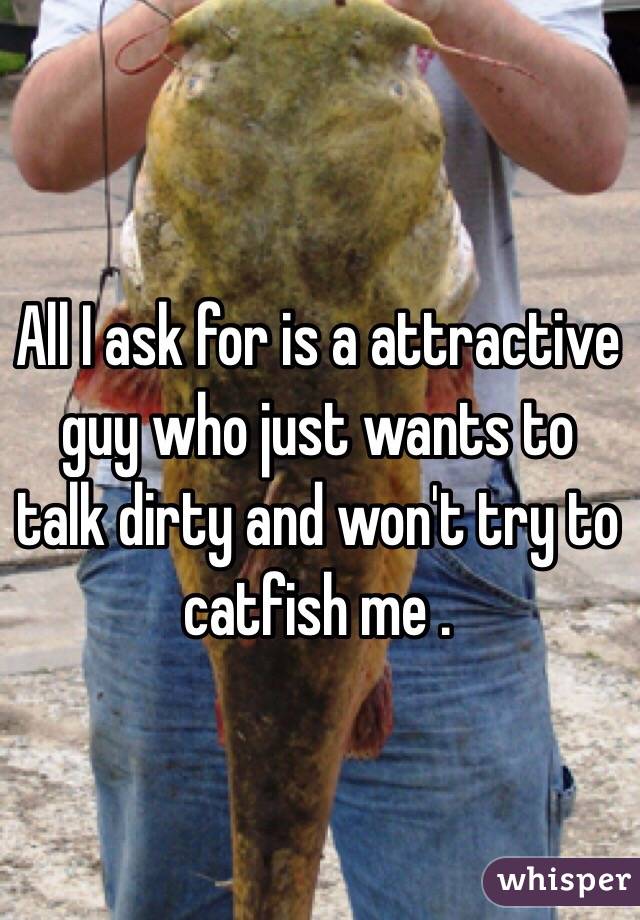 All I ask for is a attractive guy who just wants to talk dirty and won't try to catfish me .