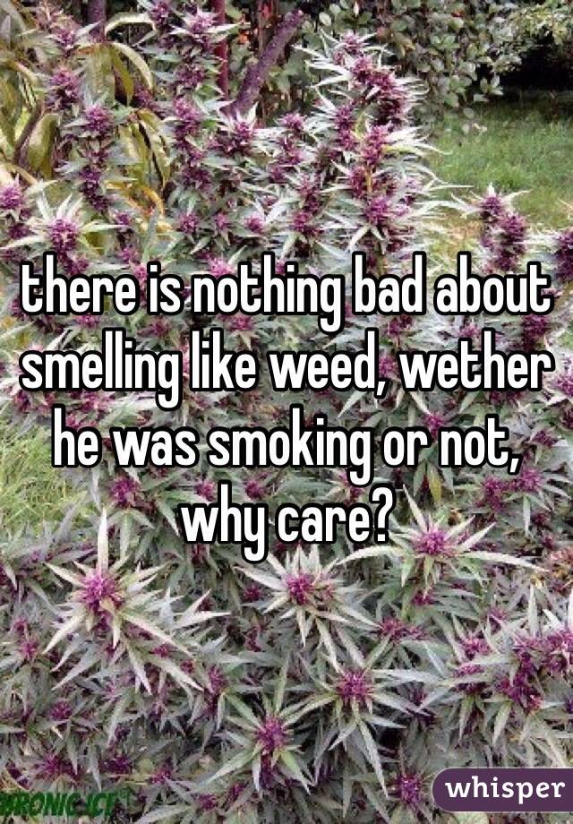 there is nothing bad about smelling like weed, wether he was smoking or not, why care?