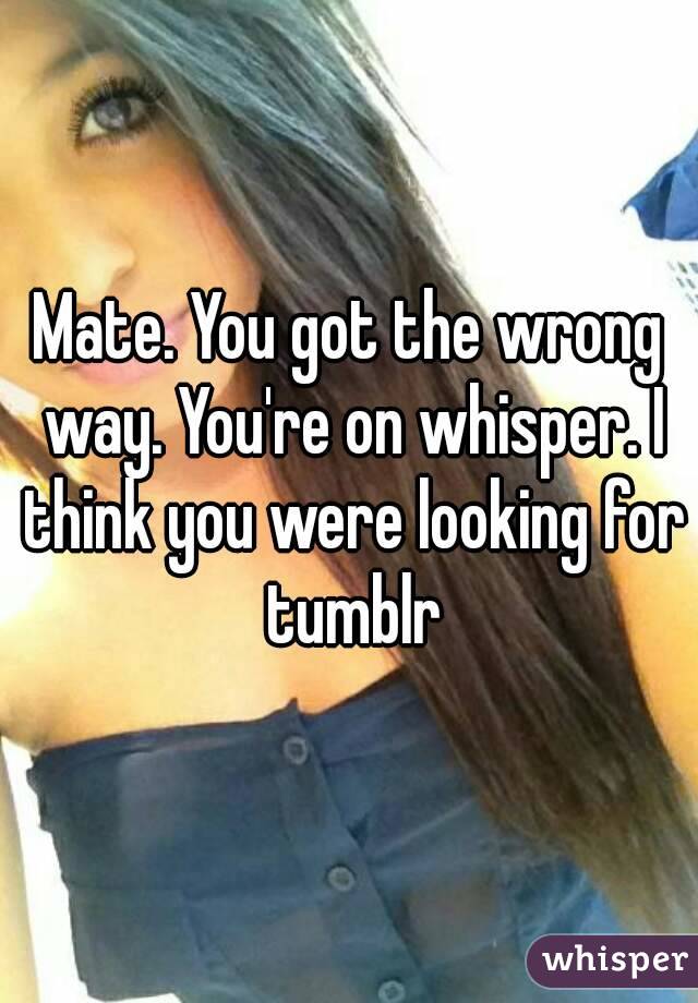 Mate. You got the wrong way. You're on whisper. I think you were looking for tumblr
