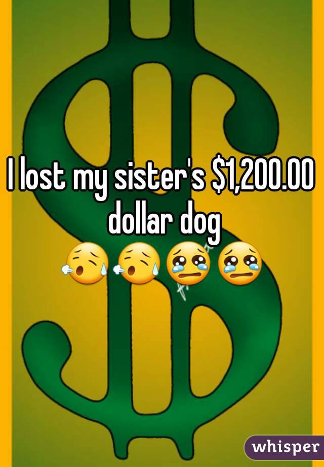 I lost my sister's $1,200.00 dollar dog
😥😥😢😢