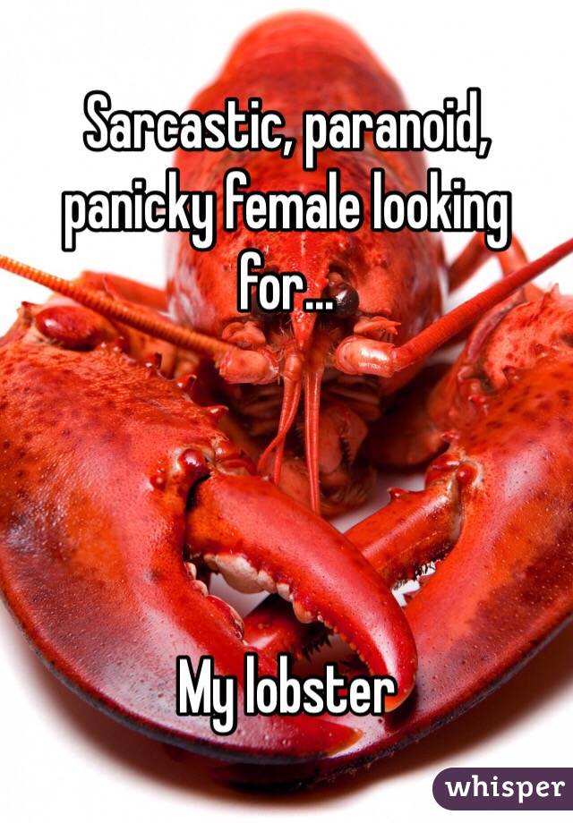 Sarcastic, paranoid, panicky female looking for...




My lobster 