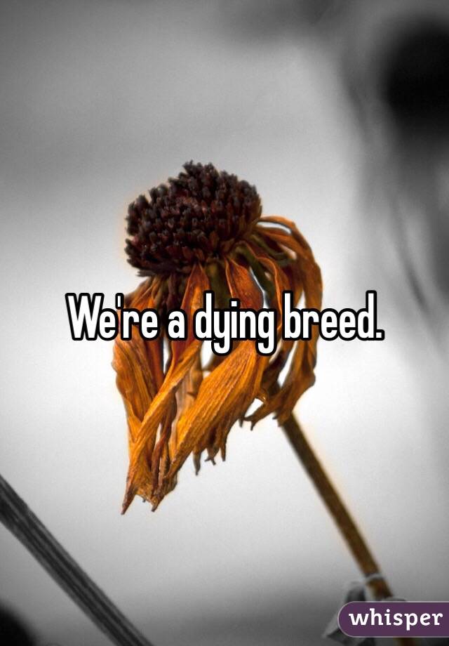 We're a dying breed.