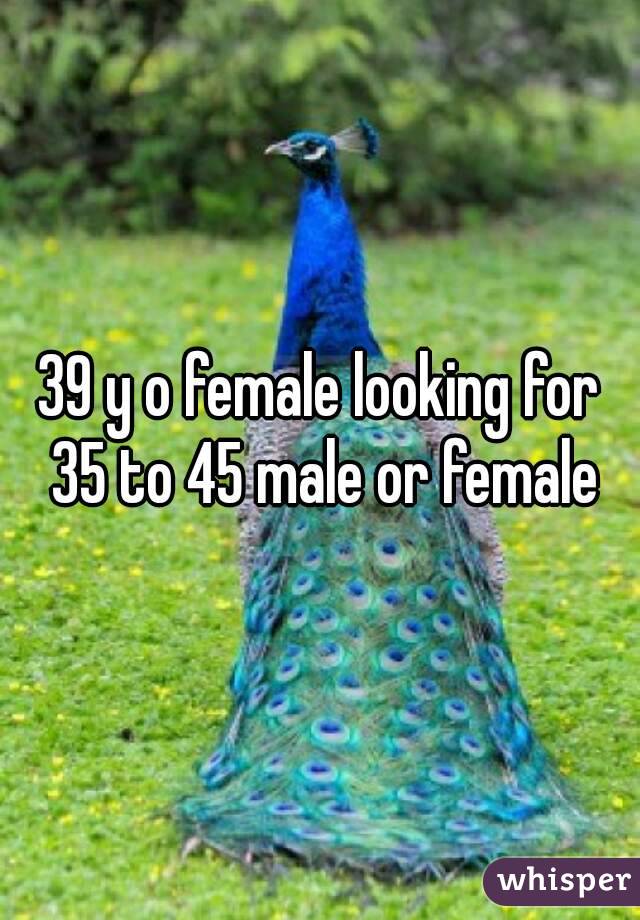 39 y o female looking for 35 to 45 male or female