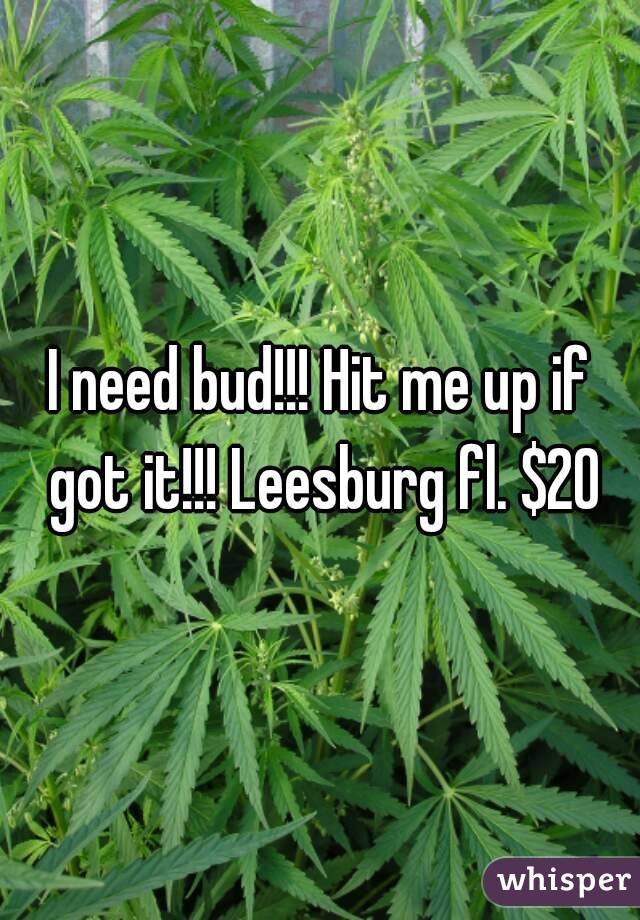 I need bud!!! Hit me up if got it!!! Leesburg fl. $20