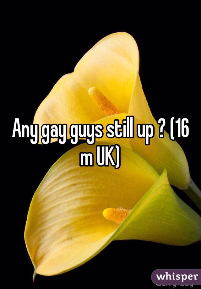 Any gay guys still up ? (16 m UK) 