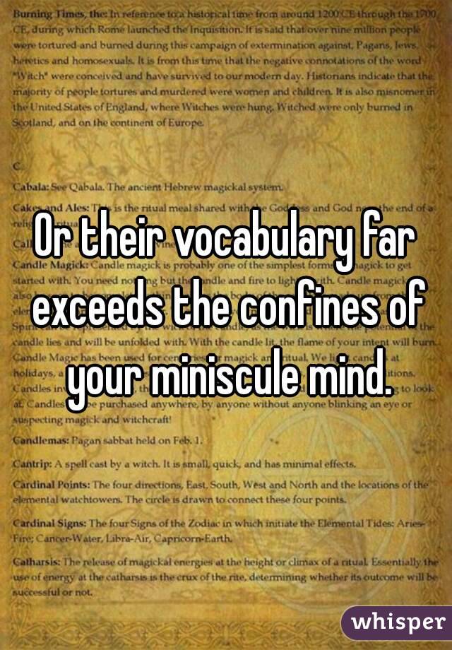 Or their vocabulary far exceeds the confines of your miniscule mind.