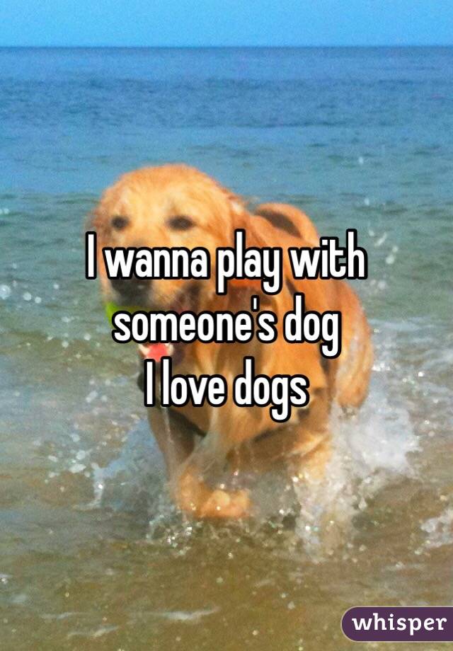 I wanna play with someone's dog
I love dogs
