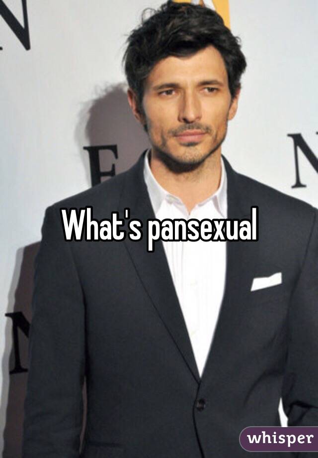 What's pansexual 