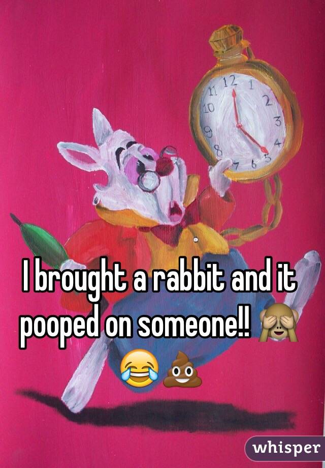 I brought a rabbit and it pooped on someone!! 🙈😂💩