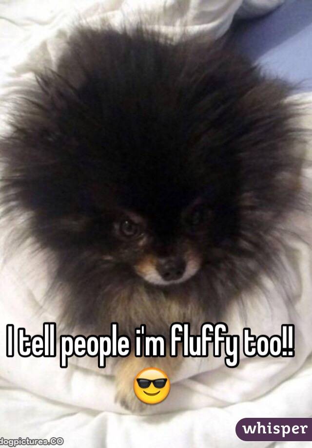 I tell people i'm fluffy too!! 😎