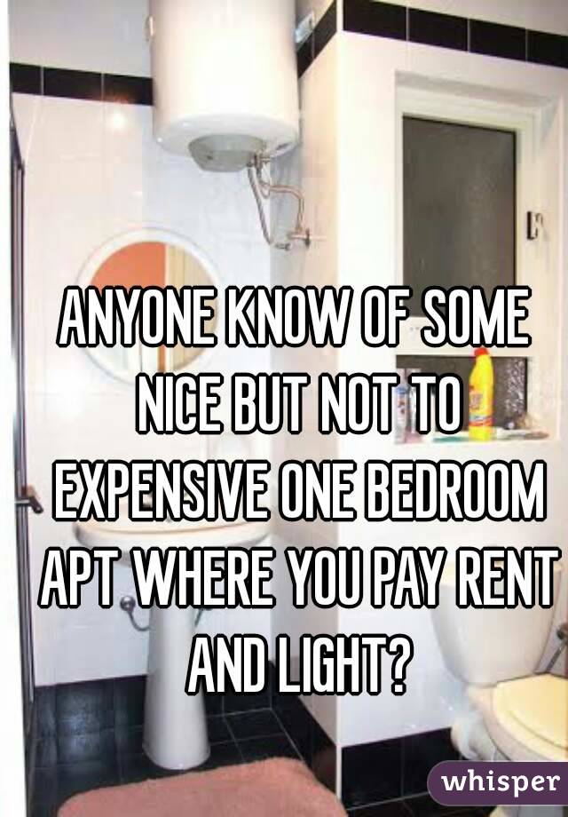 ANYONE KNOW OF SOME NICE BUT NOT TO EXPENSIVE ONE BEDROOM APT WHERE YOU PAY RENT AND LIGHT?