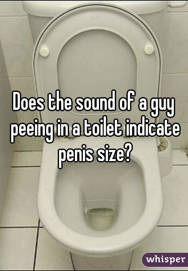 Does the sound of a guy peeing in a toilet indicate penis size?