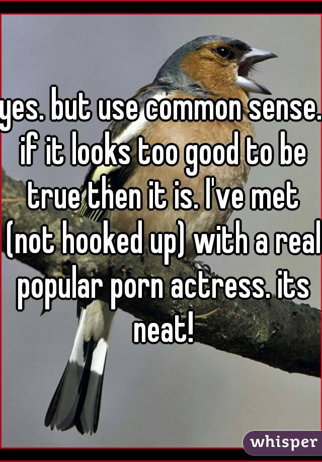 yes. but use common sense. if it looks too good to be true then it is. I've met (not hooked up) with a real popular porn actress. its neat!