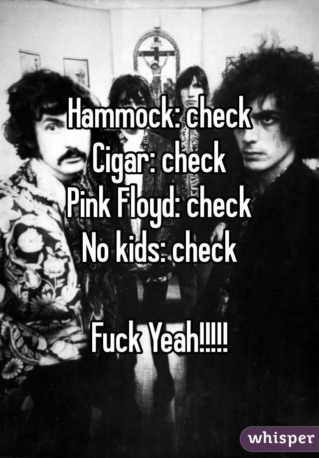 Hammock: check
        Cigar: check
Pink Floyd: check
     No kids: check

Fuck Yeah!!!!!