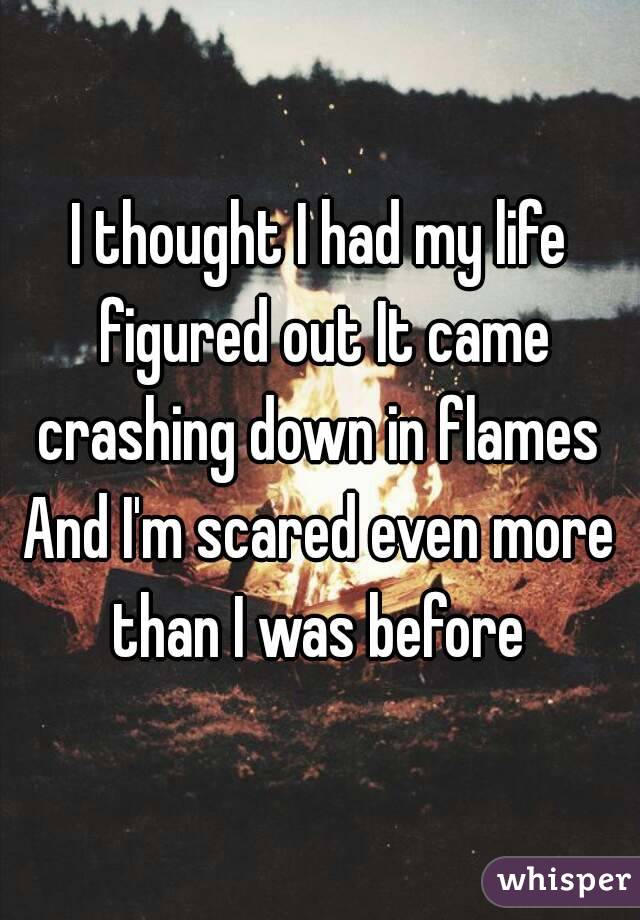 I thought I had my life figured out It came crashing down in flames 
And I'm scared even more than I was before 