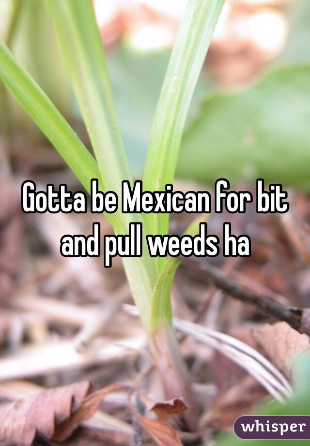 Gotta be Mexican for bit and pull weeds ha 