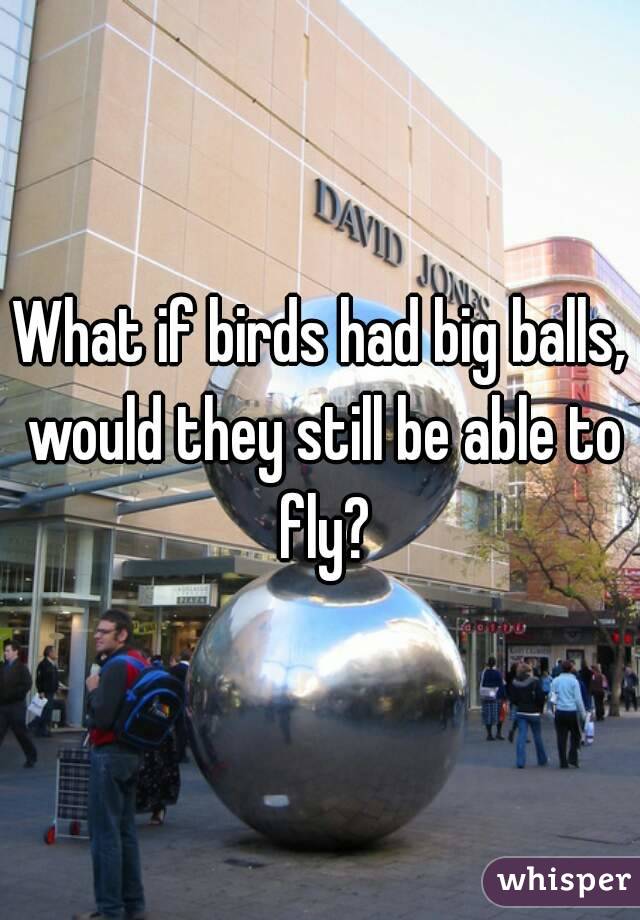 What if birds had big balls, would they still be able to fly?
