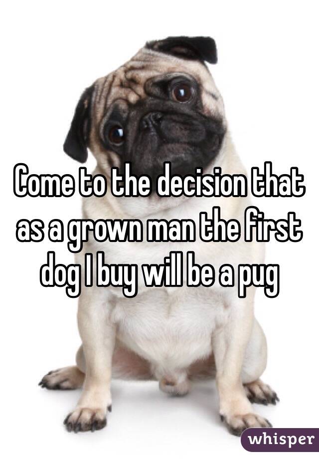 Come to the decision that as a grown man the first dog I buy will be a pug 