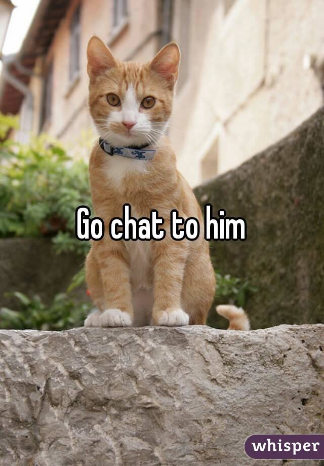 Go chat to him