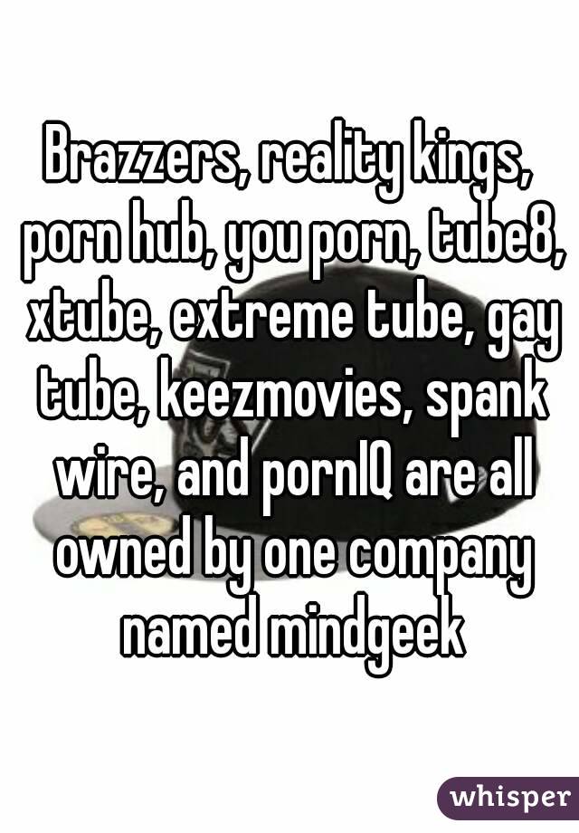 Brazzers, reality kings, porn hub, you porn, tube8, xtube, extreme tube, gay tube, keezmovies, spank wire, and pornIQ are all owned by one company named mindgeek