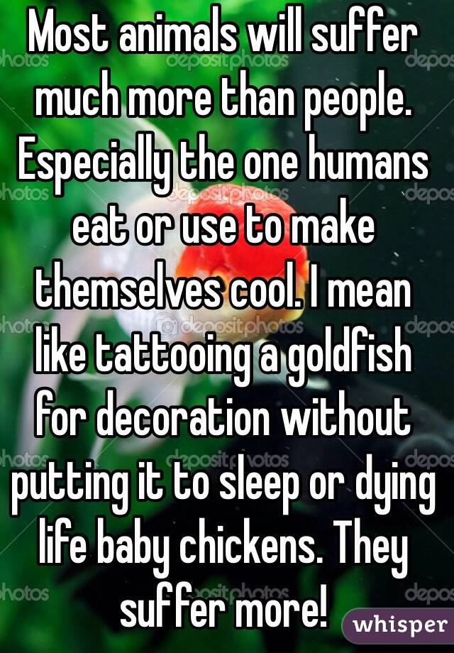 Most animals will suffer much more than people. Especially the one humans eat or use to make themselves cool. I mean like tattooing a goldfish for decoration without putting it to sleep or dying life baby chickens. They suffer more!